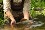 Techniques for targeting winter grayling